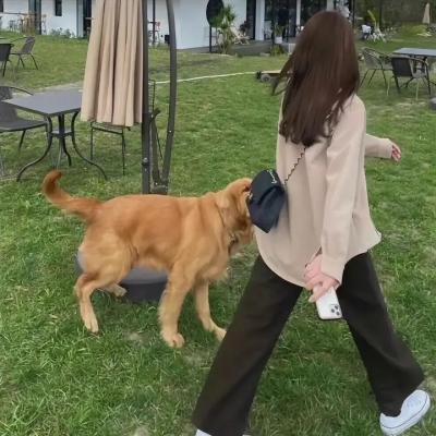 恶女杀狠大